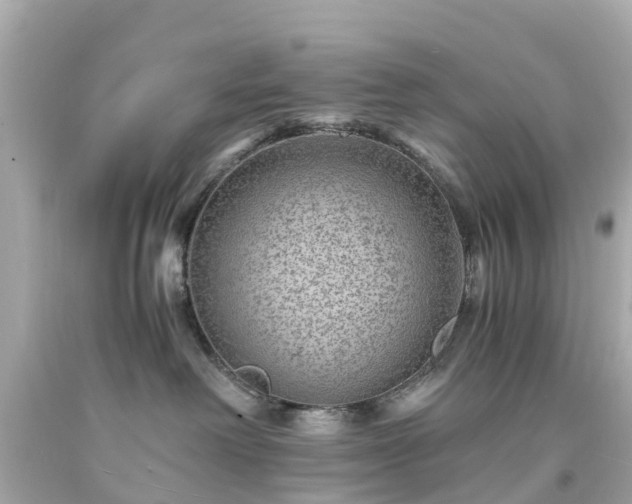 X0000094180238200711021012