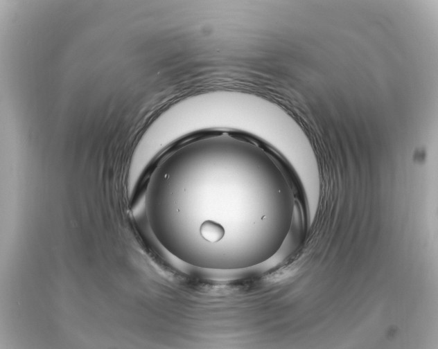 X0000094180239200711021012