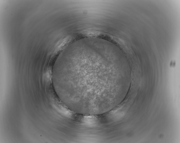 X0000094180240200711021012