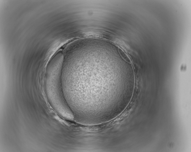 X0000094180241200711021012