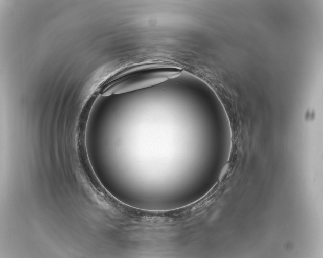 X0000094180242200711021012