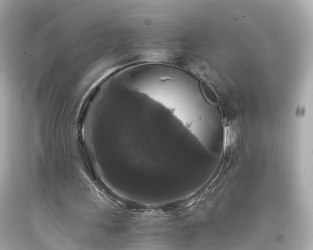 X0000094180243200711021012