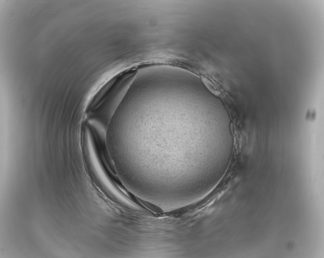 X0000094180244200711021012