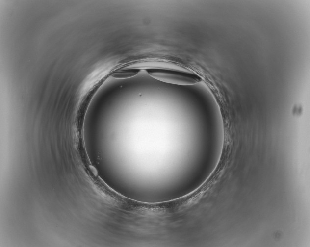 X0000094180245200711021012