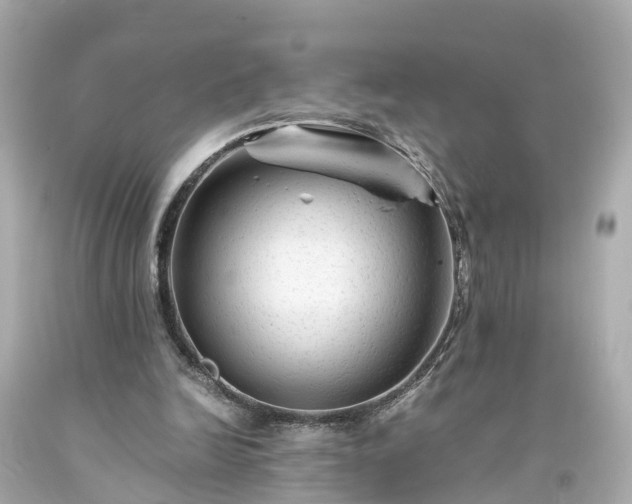 X0000094180246200711021012