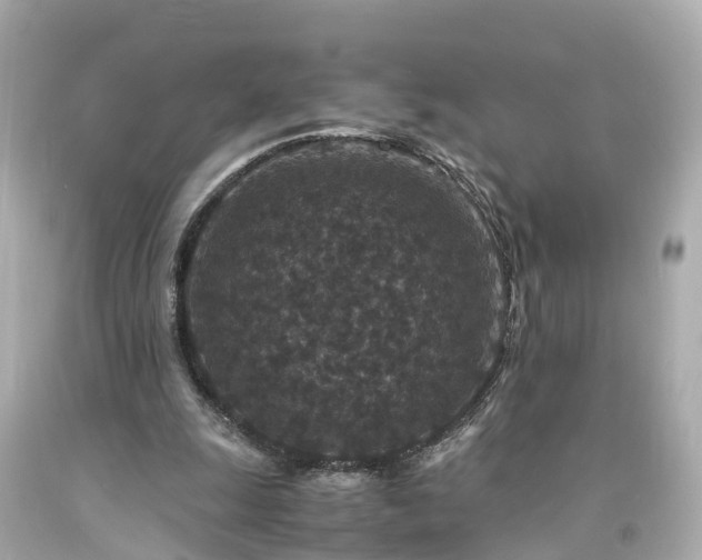 X0000094180247200711021012
