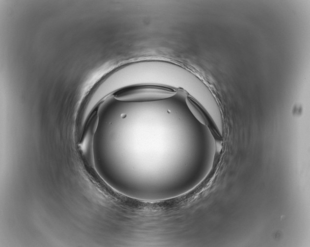 X0000094180248200711021012