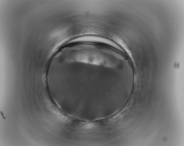 X0000094180249200711021012