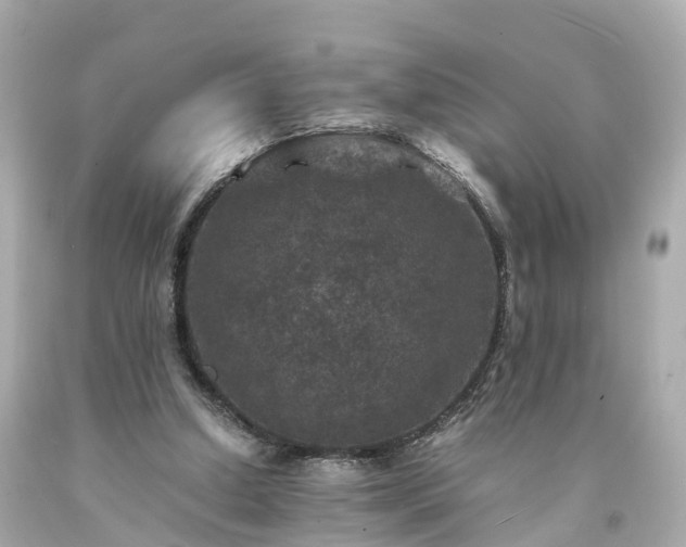 X0000094180250200711021012
