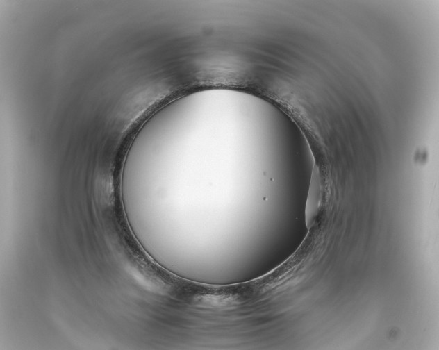 X0000094180251200711021012