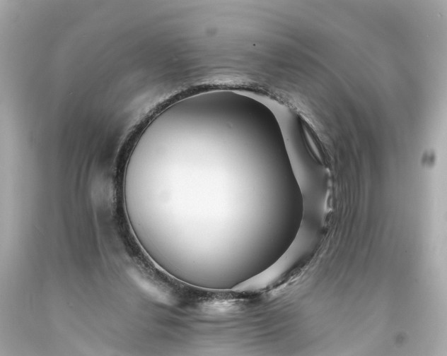 X0000094180252200711021012
