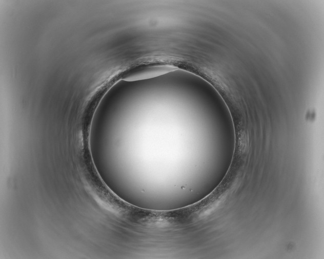 X0000094180254200711021012
