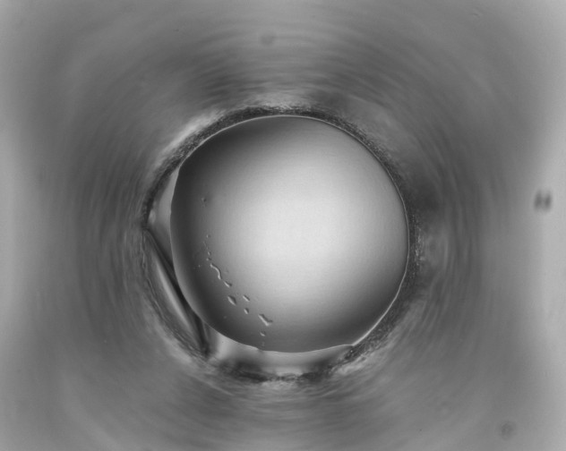 X0000094180256200711021012