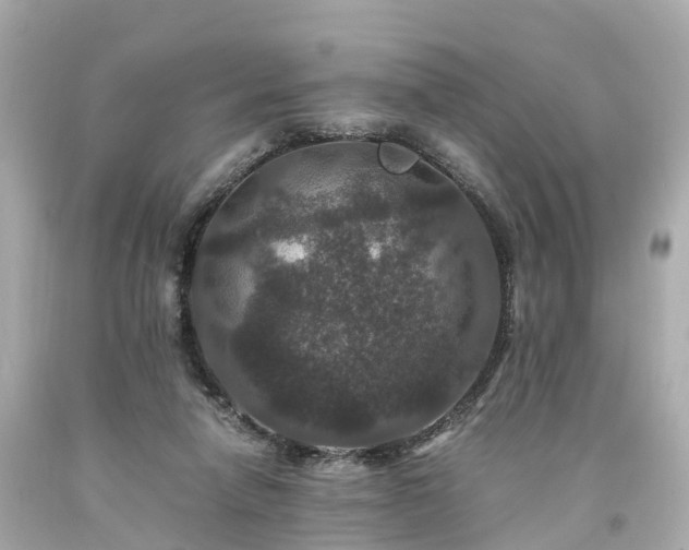 X0000094180258200711021012