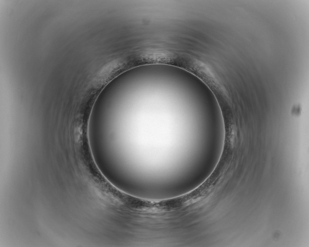 X0000094180259200711021012