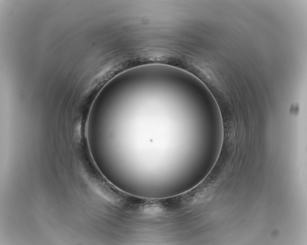 X0000094180262200711021012