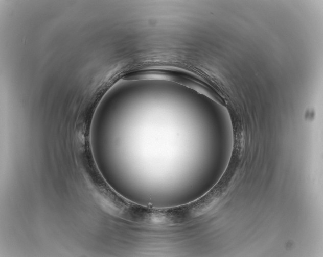 X0000094180264200711021012