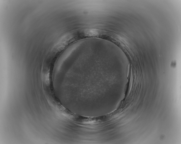 X0000094180267200711021012