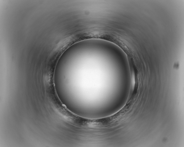 X0000094180268200711021012