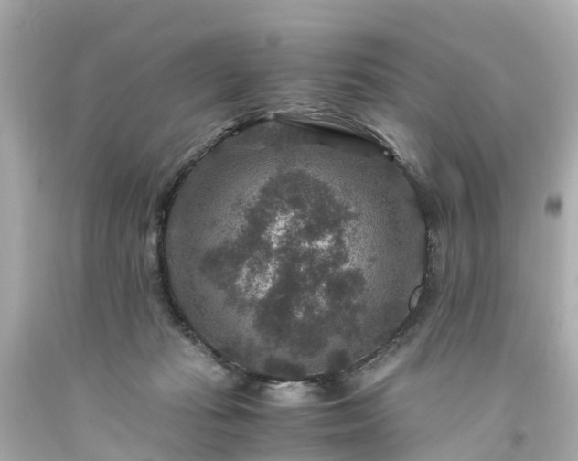 X0000094180269200711021012