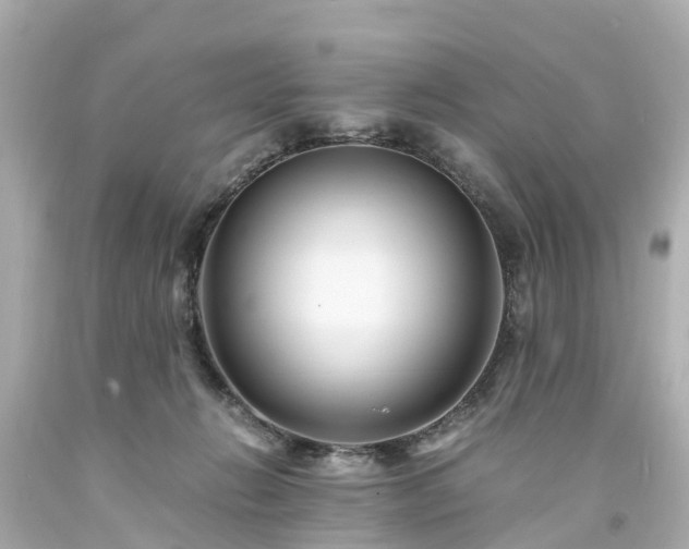 X0000094180270200711021012