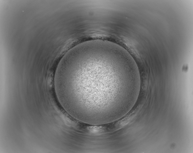 X0000094180273200711021012
