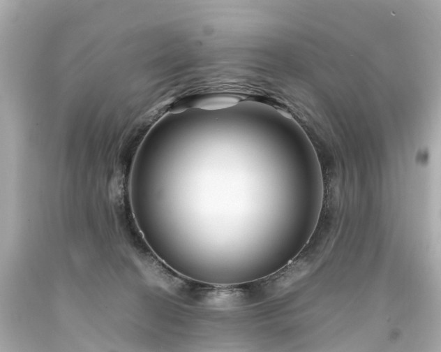X0000094180274200711021012