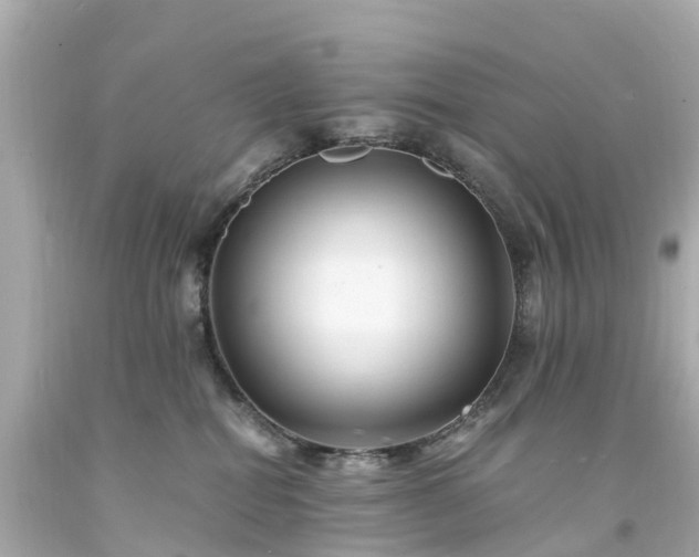 X0000094180282200711021012