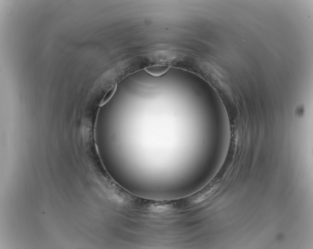 X0000094180283200711021012