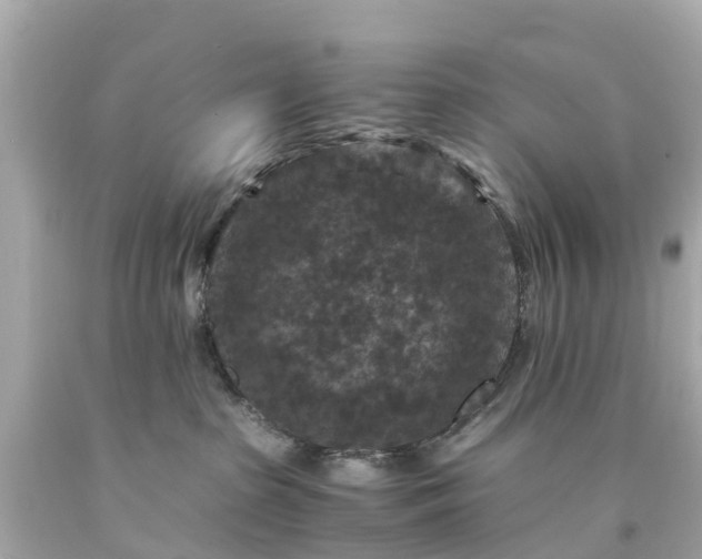 X0000094180285200711021012
