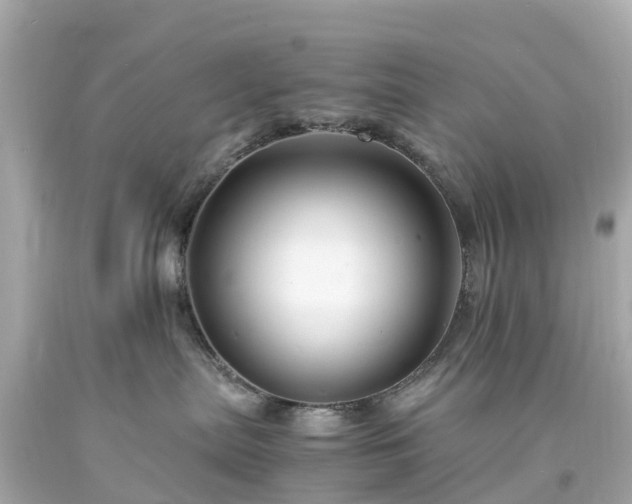 X0000094180287200711021012