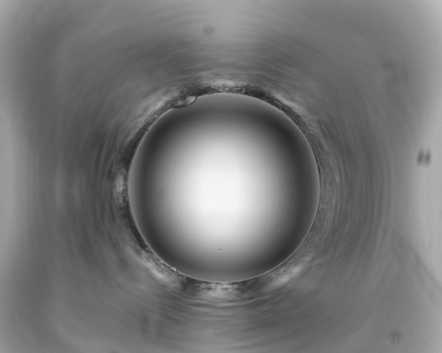 X0000094180288200711021012