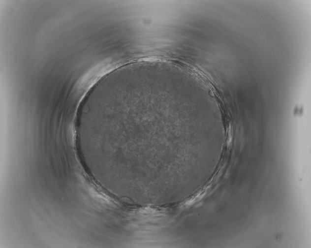 X0000094180290200711021012