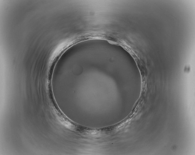 X0000094180293200711021012
