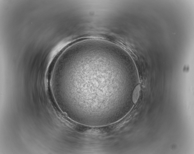 X0000094180294200711021012