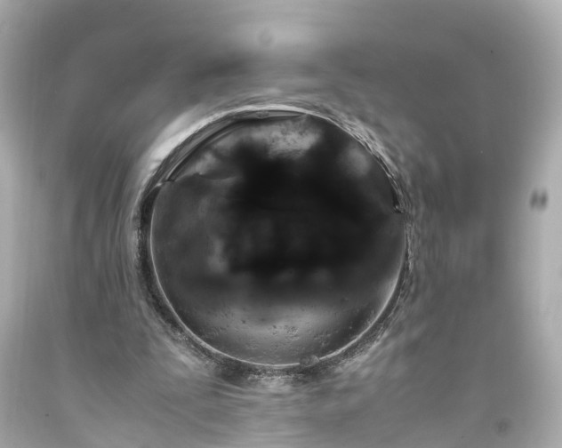 X0000094180295200711021012