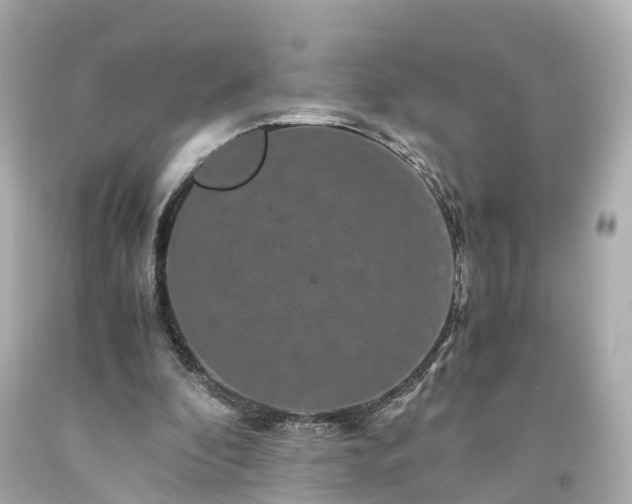 X0000094180296200711021012