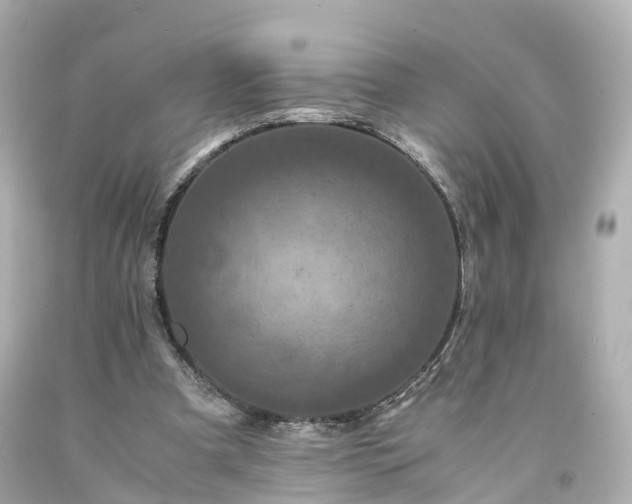 X0000094180297200711021012