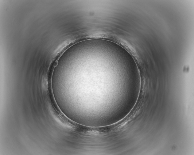 X0000094180298200711021012