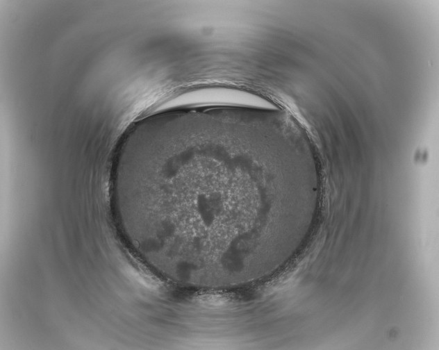 X0000094180299200711021011