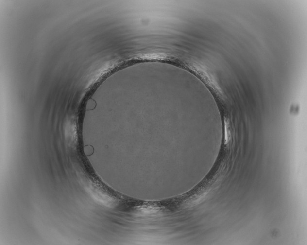 X0000094180300200711021011