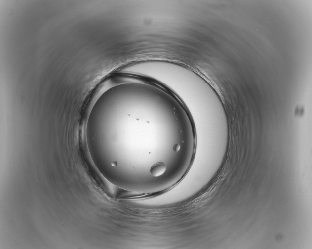 X0000094180301200711021011