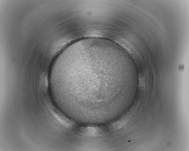 X0000094180302200711021011