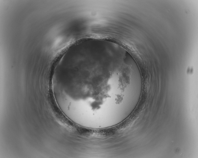 X0000094180303200711021011