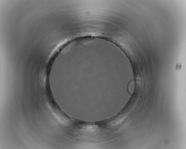 X0000094180304200711021011