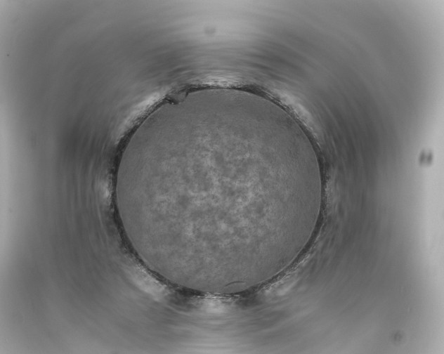 X0000094180305200711021011