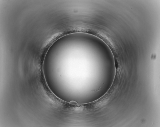 X0000094180306200711021011