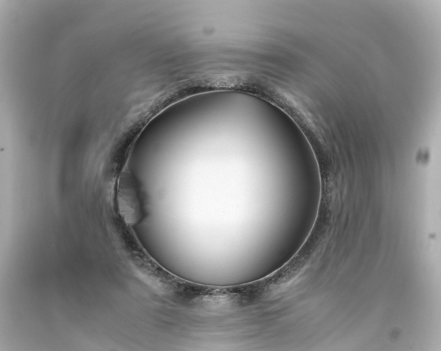 X0000094180307200711021011