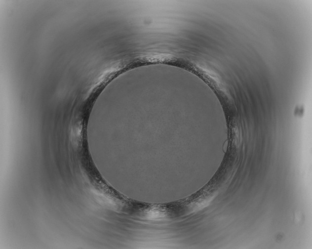 X0000094180308200711021011