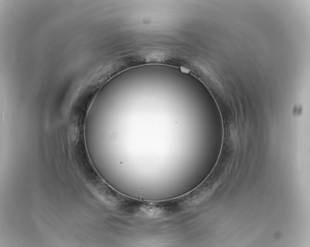 X0000094180311200711021011